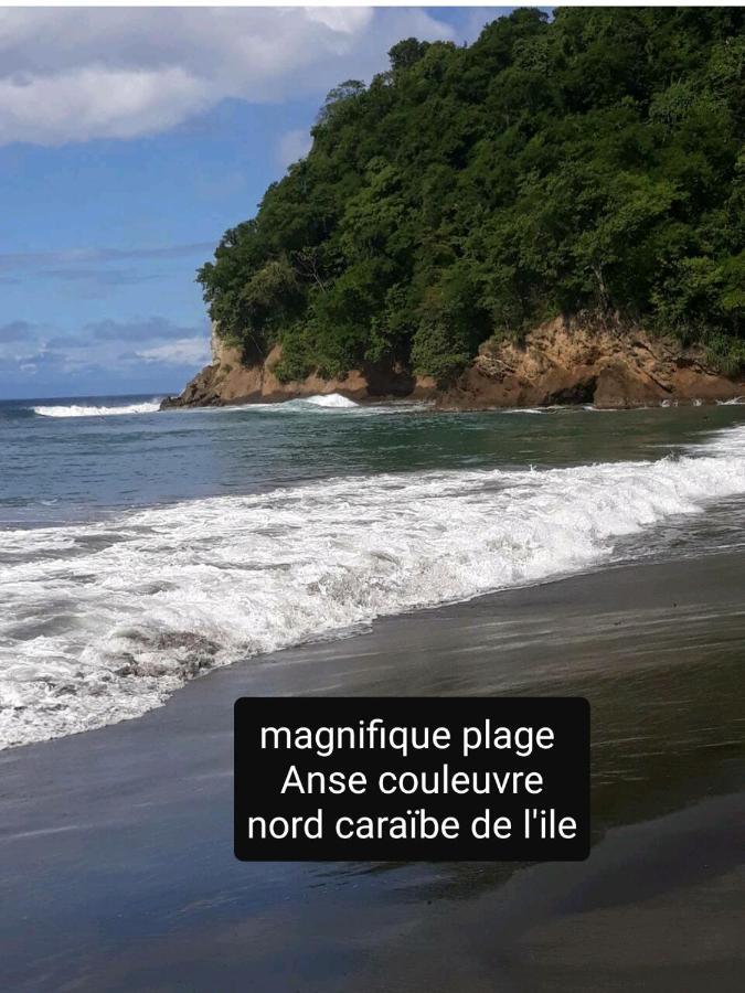 A La Montagne Appartement Le Morne-Vert Buitenkant foto