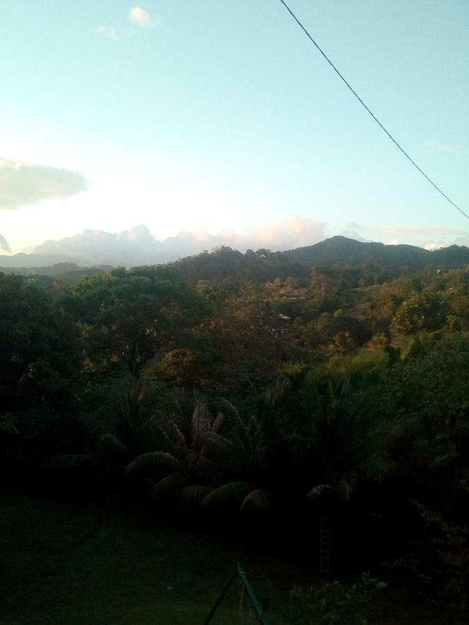 A La Montagne Appartement Le Morne-Vert Buitenkant foto